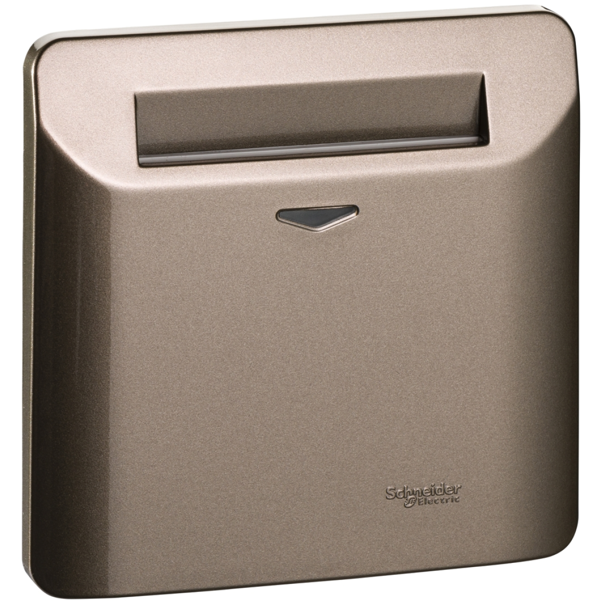 Schneider Electric 施耐德電氣 E8431EKT SZ Zencelo 電子插卡開關掣連指示燈 (銀銅)